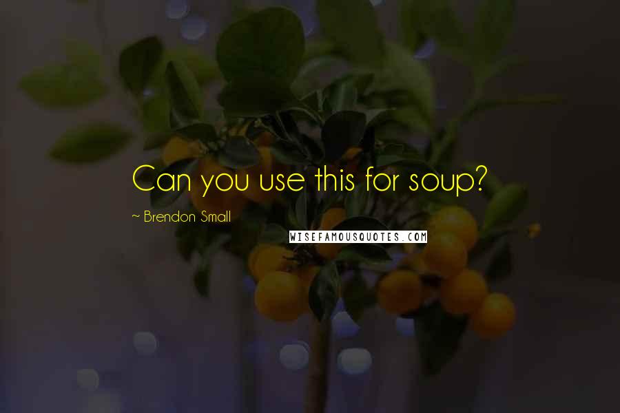 Brendon Small Quotes: Can you use this for soup?