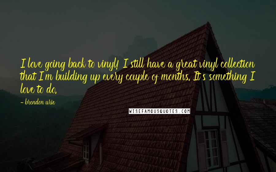 Brendon Urie Quotes: I love going back to vinyl! I still have a great vinyl collection that I'm building up every couple of months. It's something I love to do.