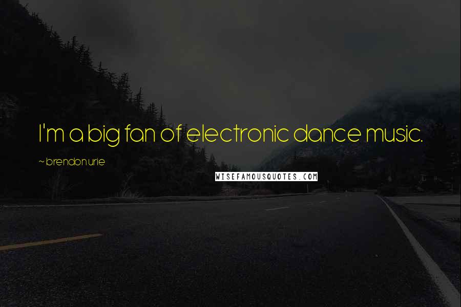Brendon Urie Quotes: I'm a big fan of electronic dance music.