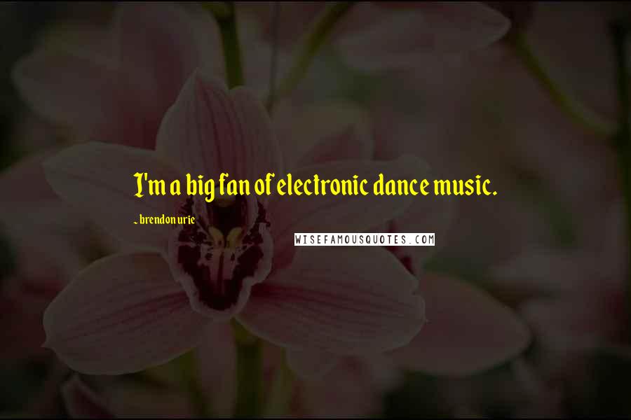 Brendon Urie Quotes: I'm a big fan of electronic dance music.