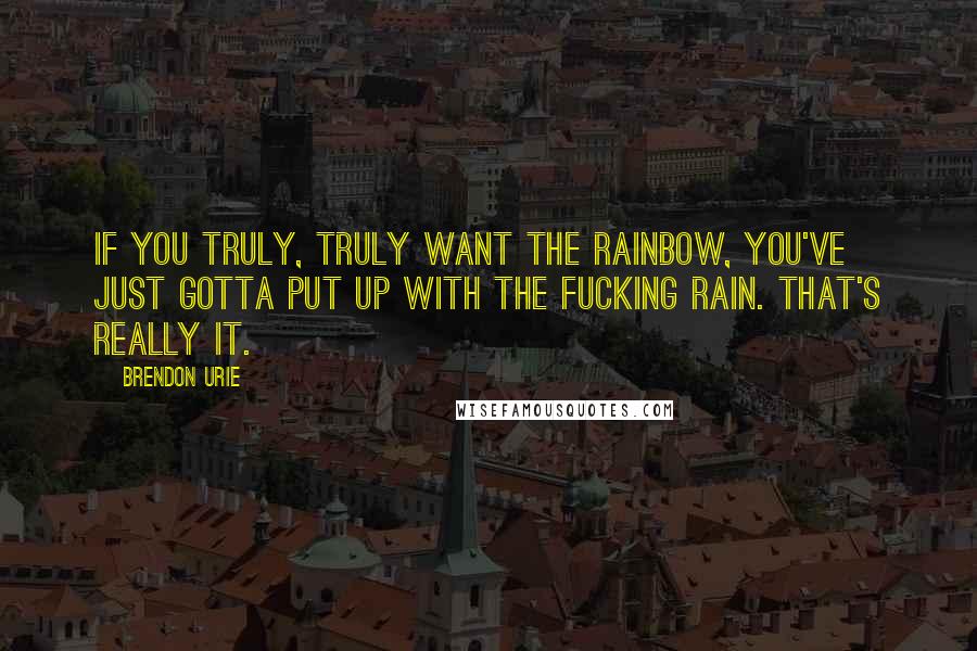 Brendon Urie Quotes: If you truly, truly want the rainbow, you've just gotta put up with the fucking rain. That's really it.