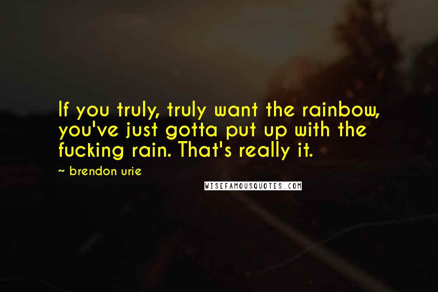 Brendon Urie Quotes: If you truly, truly want the rainbow, you've just gotta put up with the fucking rain. That's really it.