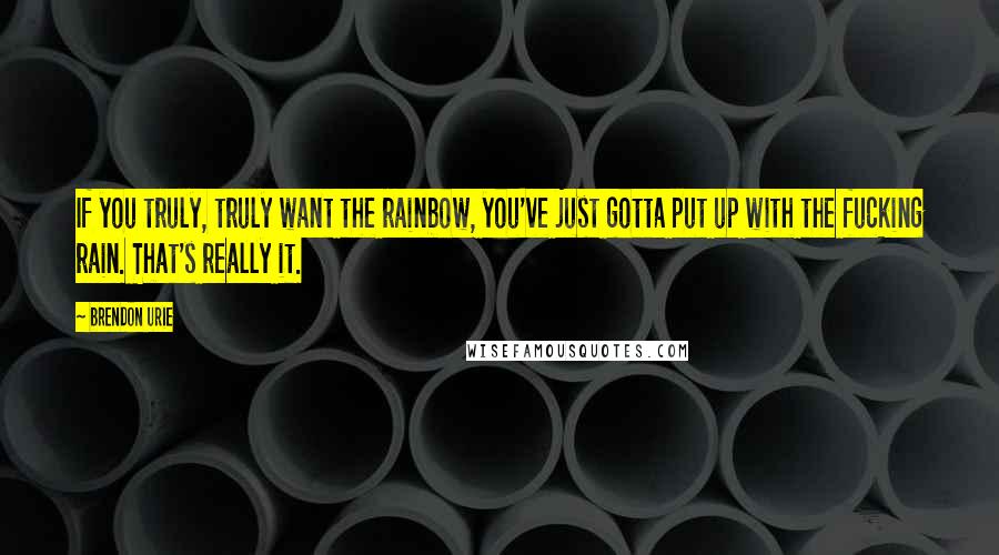 Brendon Urie Quotes: If you truly, truly want the rainbow, you've just gotta put up with the fucking rain. That's really it.