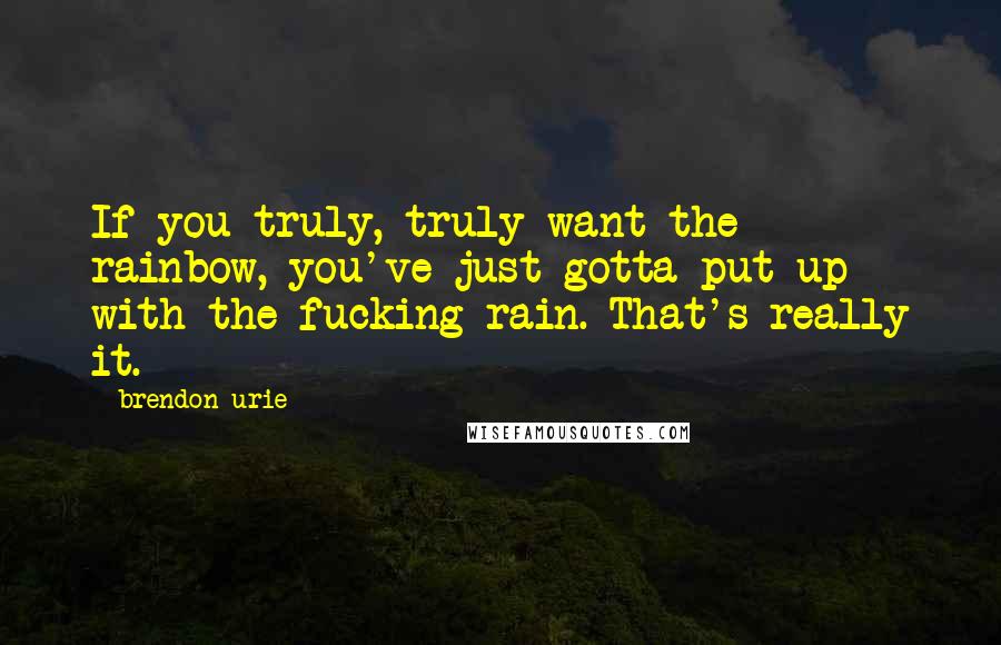 Brendon Urie Quotes: If you truly, truly want the rainbow, you've just gotta put up with the fucking rain. That's really it.