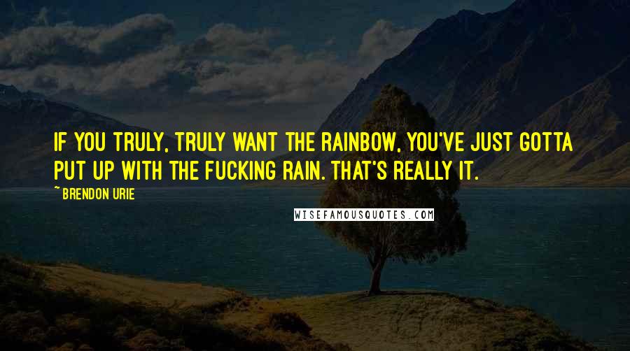 Brendon Urie Quotes: If you truly, truly want the rainbow, you've just gotta put up with the fucking rain. That's really it.