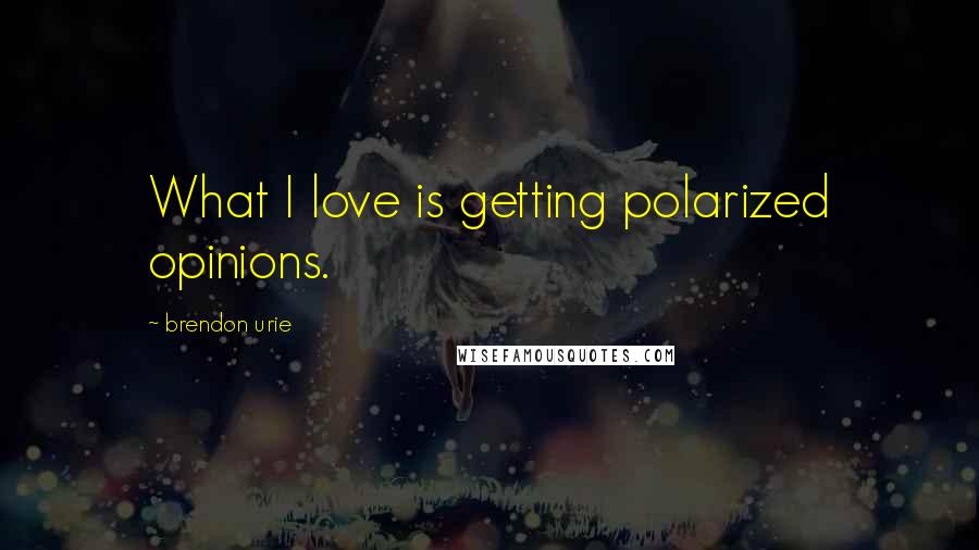 Brendon Urie Quotes: What I love is getting polarized opinions.