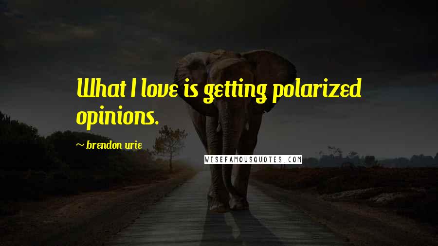 Brendon Urie Quotes: What I love is getting polarized opinions.