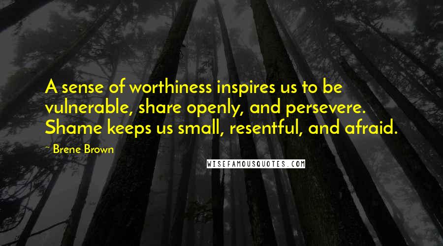 Brene Brown Quotes: A sense of worthiness inspires us to be vulnerable, share openly, and persevere. Shame keeps us small, resentful, and afraid.