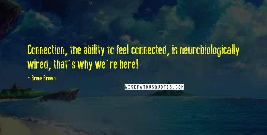 Brene Brown Quotes: Connection, the ability to feel connected, is neurobiologically wired, that's why we're here!