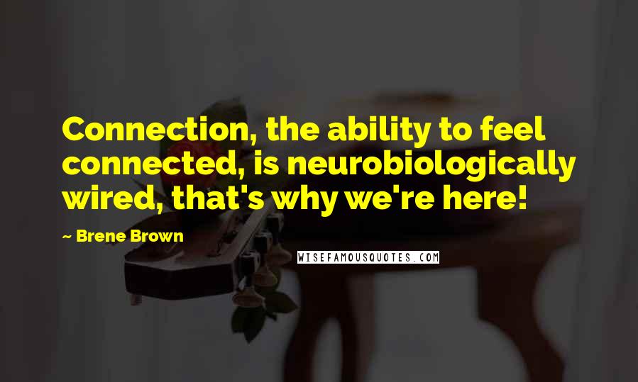 Brene Brown Quotes: Connection, the ability to feel connected, is neurobiologically wired, that's why we're here!