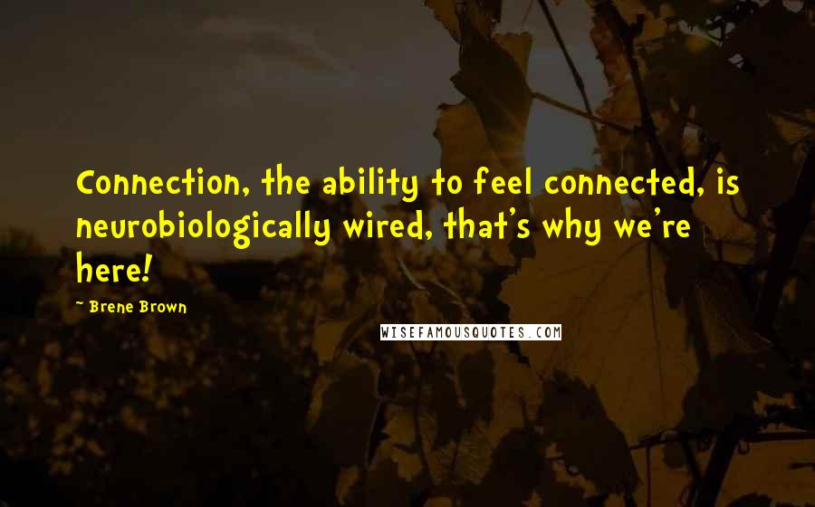 Brene Brown Quotes: Connection, the ability to feel connected, is neurobiologically wired, that's why we're here!