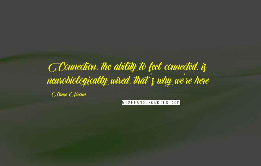 Brene Brown Quotes: Connection, the ability to feel connected, is neurobiologically wired, that's why we're here!