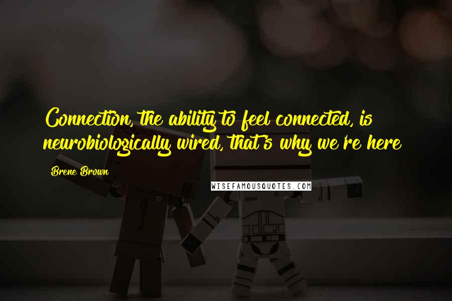 Brene Brown Quotes: Connection, the ability to feel connected, is neurobiologically wired, that's why we're here!