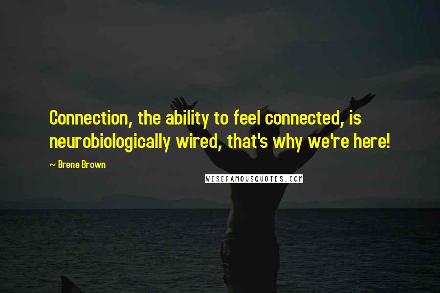Brene Brown Quotes: Connection, the ability to feel connected, is neurobiologically wired, that's why we're here!