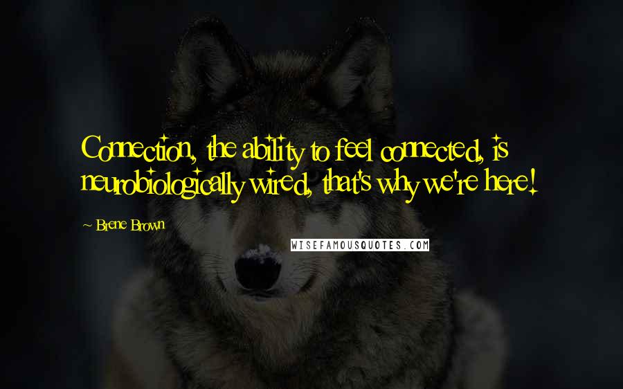 Brene Brown Quotes: Connection, the ability to feel connected, is neurobiologically wired, that's why we're here!