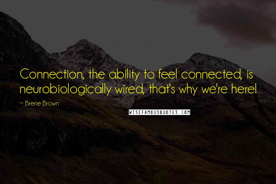 Brene Brown Quotes: Connection, the ability to feel connected, is neurobiologically wired, that's why we're here!