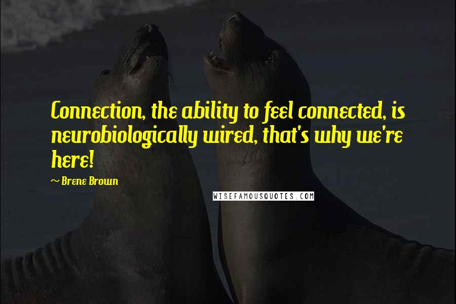 Brene Brown Quotes: Connection, the ability to feel connected, is neurobiologically wired, that's why we're here!