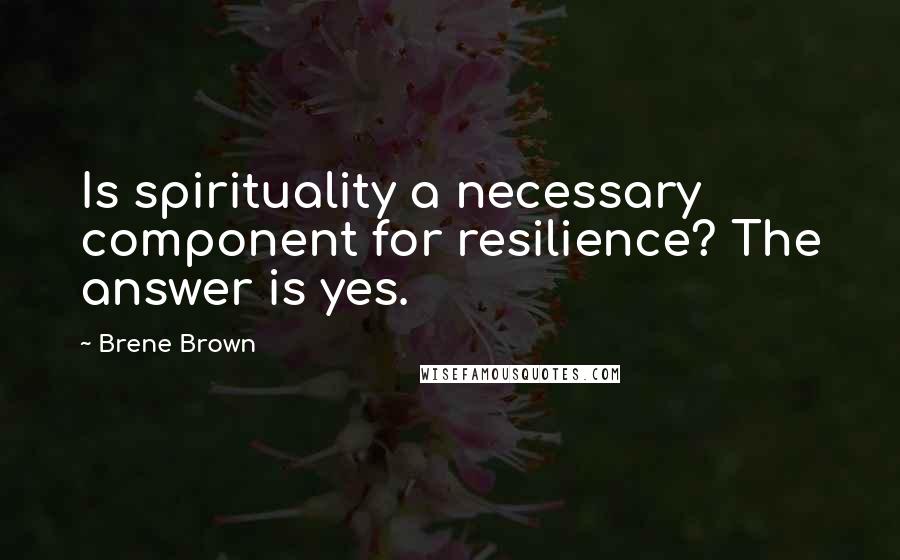 Brene Brown Quotes: Is spirituality a necessary component for resilience? The answer is yes.