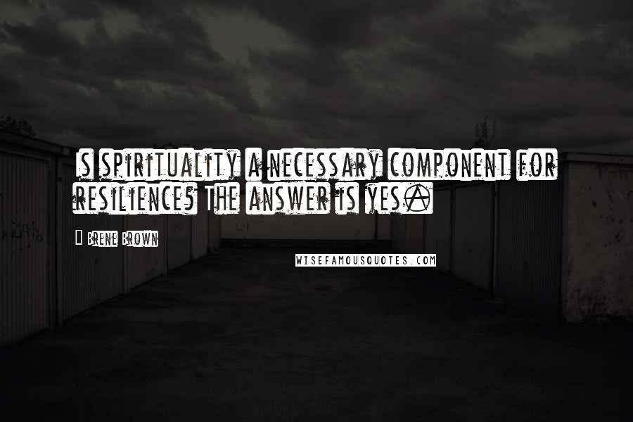 Brene Brown Quotes: Is spirituality a necessary component for resilience? The answer is yes.