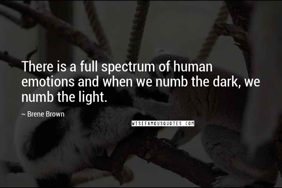 Brene Brown Quotes: There is a full spectrum of human emotions and when we numb the dark, we numb the light.