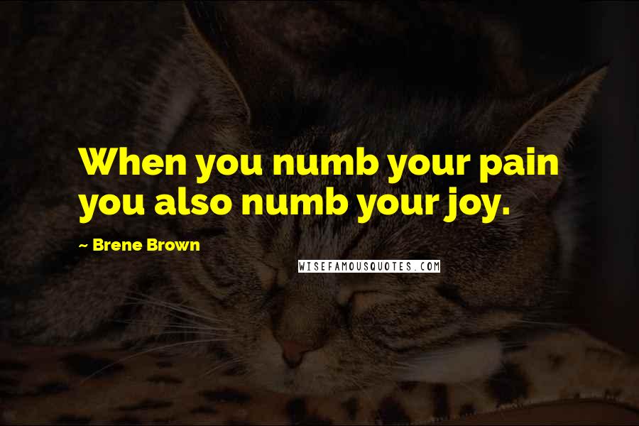Brene Brown Quotes: When you numb your pain you also numb your joy.