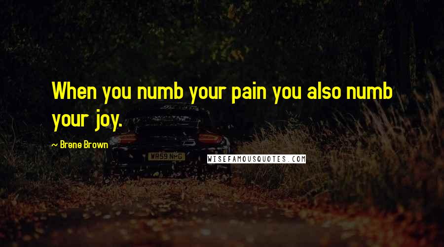 Brene Brown Quotes: When you numb your pain you also numb your joy.