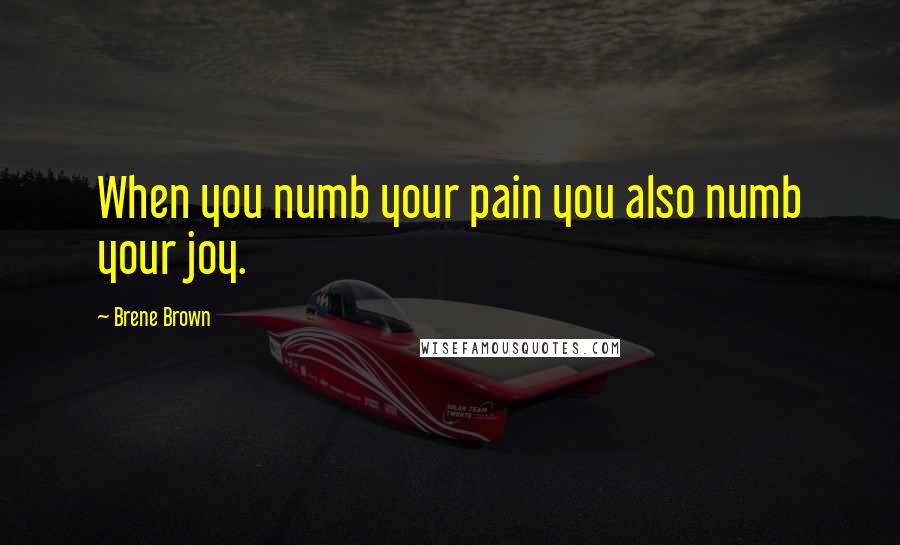 Brene Brown Quotes: When you numb your pain you also numb your joy.