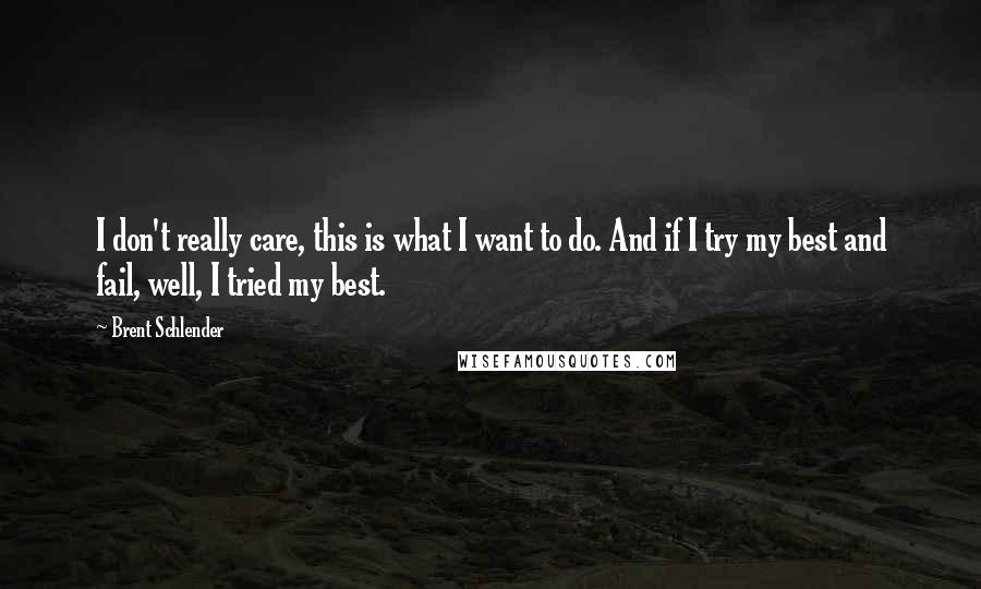 Brent Schlender Quotes: I don't really care, this is what I want to do. And if I try my best and fail, well, I tried my best.