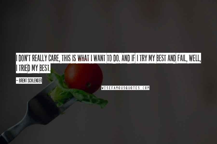 Brent Schlender Quotes: I don't really care, this is what I want to do. And if I try my best and fail, well, I tried my best.