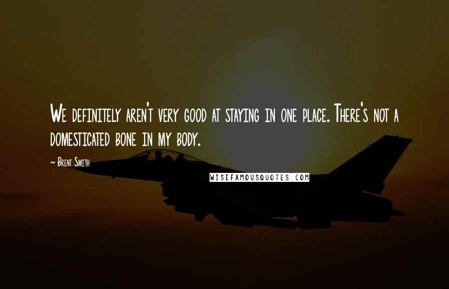 Brent Smith Quotes: We definitely aren't very good at staying in one place. There's not a domesticated bone in my body.