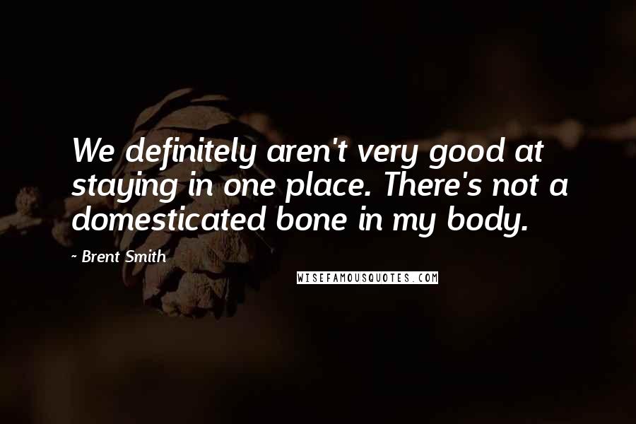 Brent Smith Quotes: We definitely aren't very good at staying in one place. There's not a domesticated bone in my body.