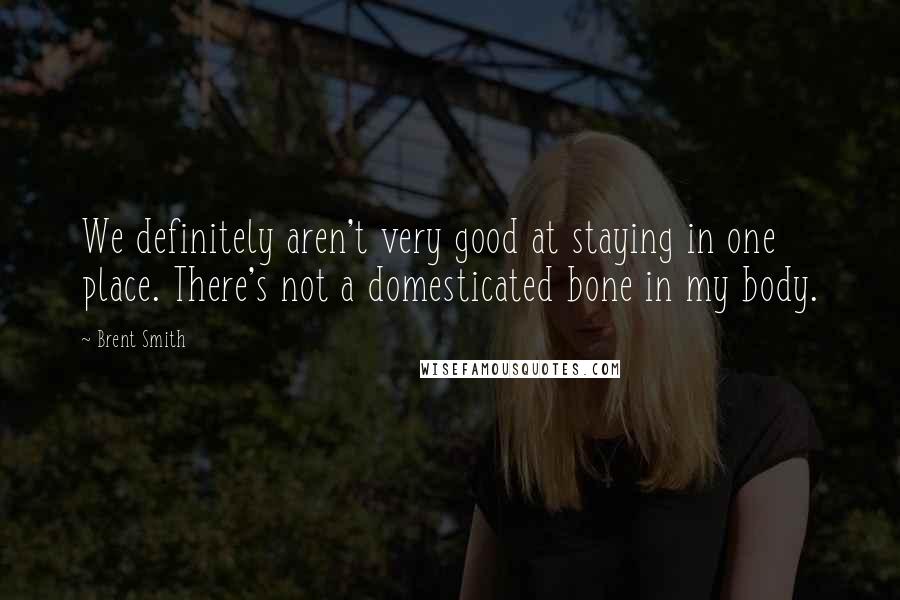 Brent Smith Quotes: We definitely aren't very good at staying in one place. There's not a domesticated bone in my body.