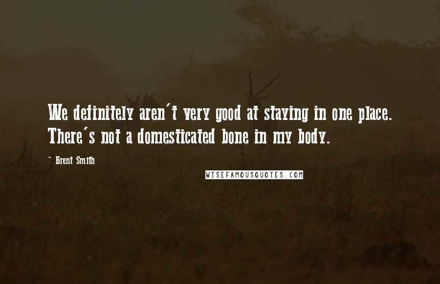 Brent Smith Quotes: We definitely aren't very good at staying in one place. There's not a domesticated bone in my body.