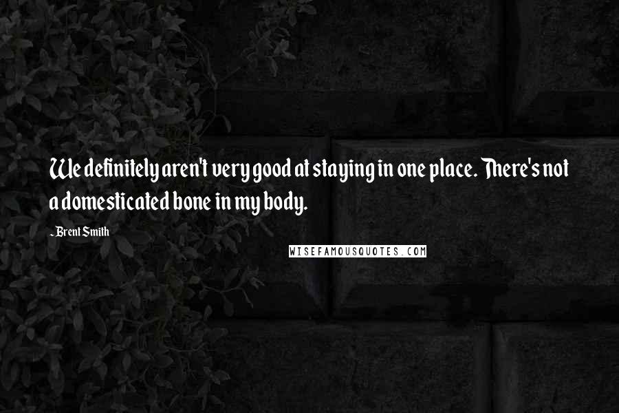 Brent Smith Quotes: We definitely aren't very good at staying in one place. There's not a domesticated bone in my body.