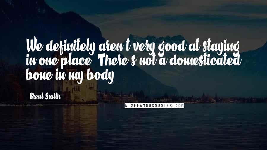 Brent Smith Quotes: We definitely aren't very good at staying in one place. There's not a domesticated bone in my body.