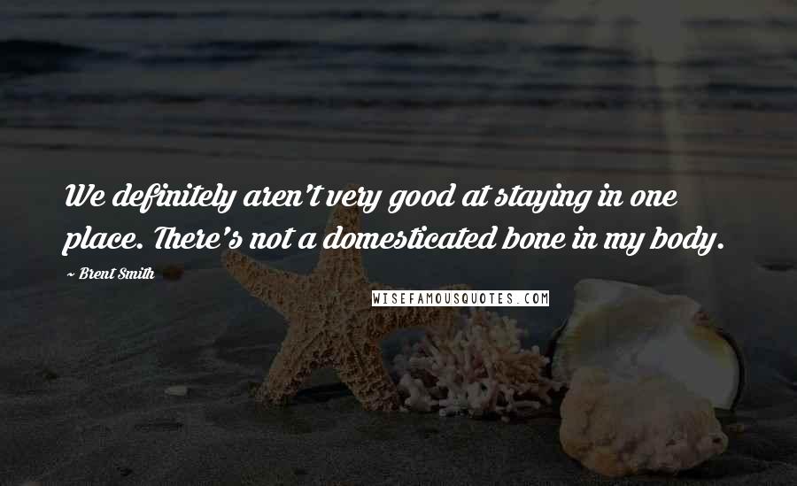 Brent Smith Quotes: We definitely aren't very good at staying in one place. There's not a domesticated bone in my body.