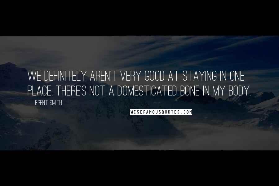 Brent Smith Quotes: We definitely aren't very good at staying in one place. There's not a domesticated bone in my body.