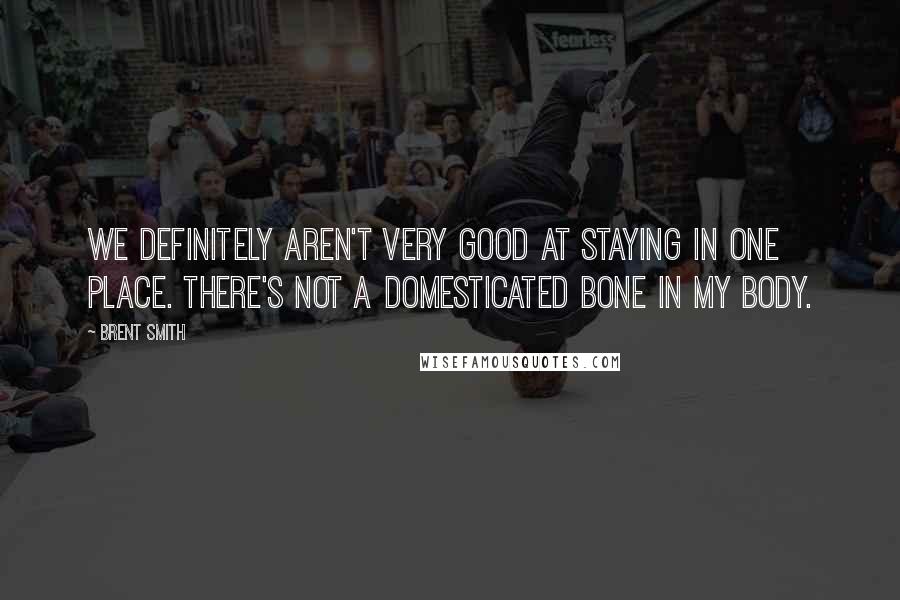 Brent Smith Quotes: We definitely aren't very good at staying in one place. There's not a domesticated bone in my body.