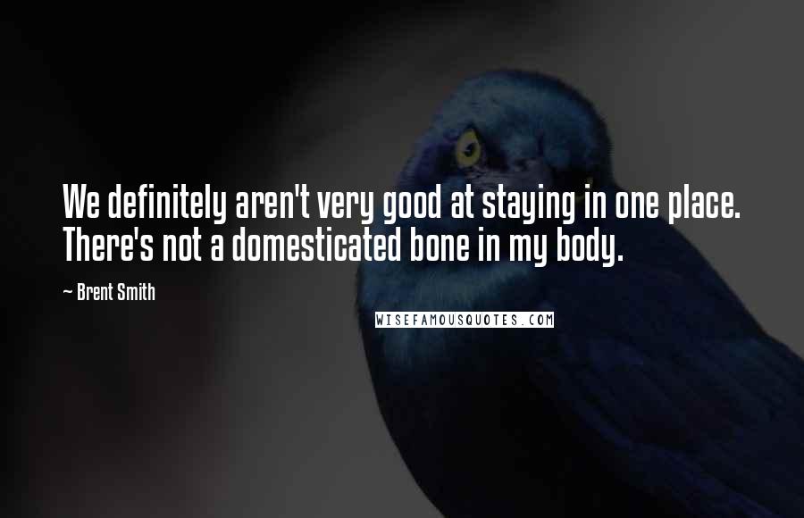 Brent Smith Quotes: We definitely aren't very good at staying in one place. There's not a domesticated bone in my body.