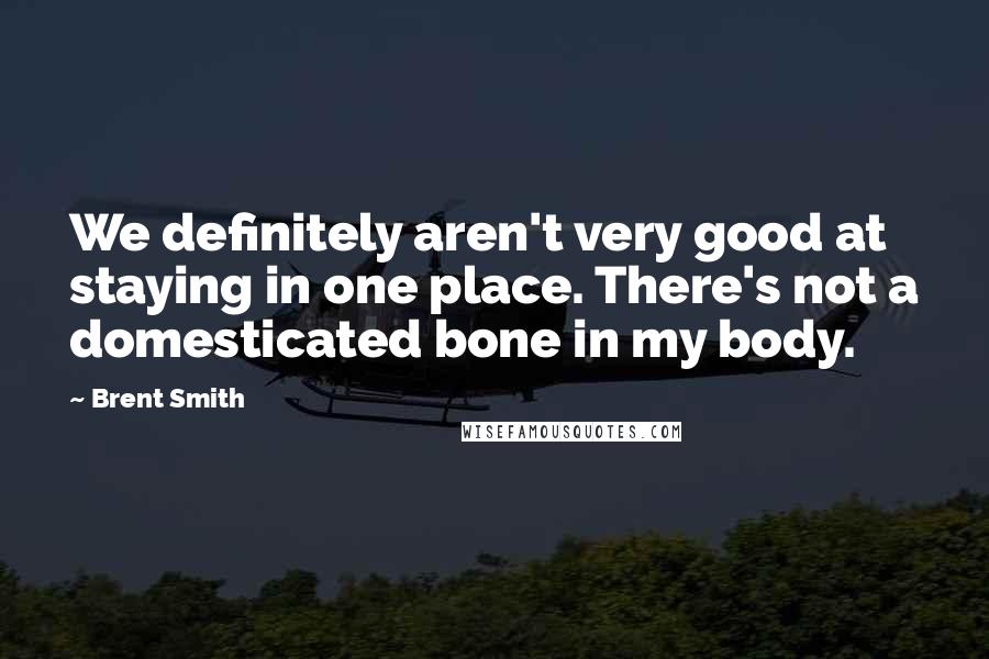 Brent Smith Quotes: We definitely aren't very good at staying in one place. There's not a domesticated bone in my body.