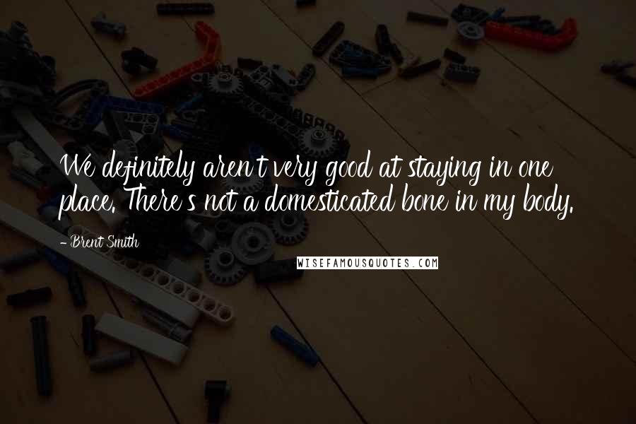 Brent Smith Quotes: We definitely aren't very good at staying in one place. There's not a domesticated bone in my body.