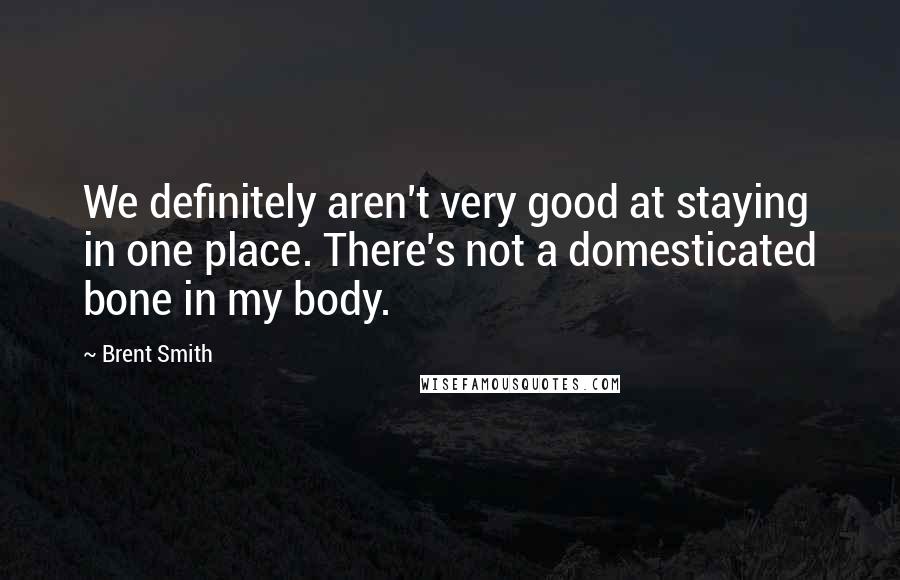 Brent Smith Quotes: We definitely aren't very good at staying in one place. There's not a domesticated bone in my body.