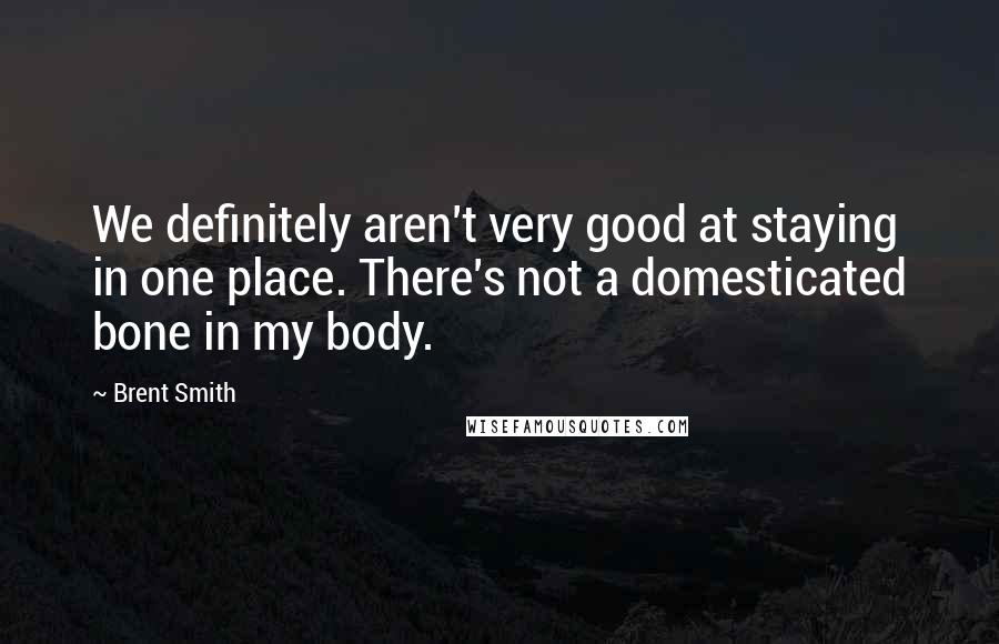 Brent Smith Quotes: We definitely aren't very good at staying in one place. There's not a domesticated bone in my body.