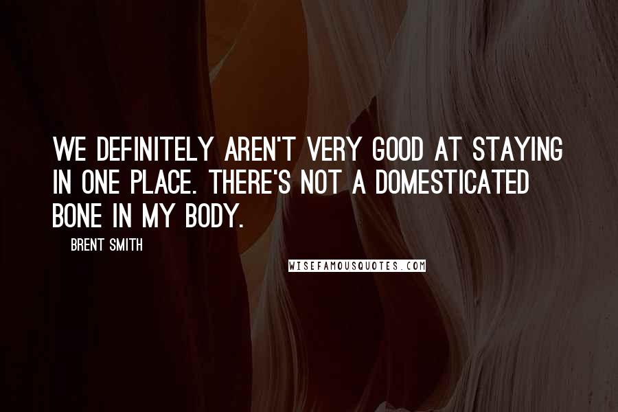 Brent Smith Quotes: We definitely aren't very good at staying in one place. There's not a domesticated bone in my body.