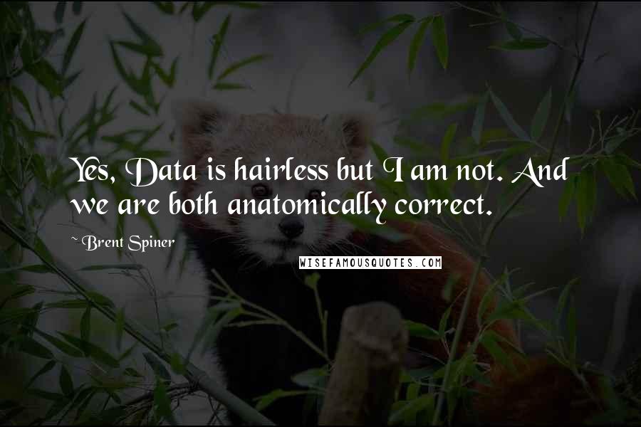 Brent Spiner Quotes: Yes, Data is hairless but I am not. And we are both anatomically correct.