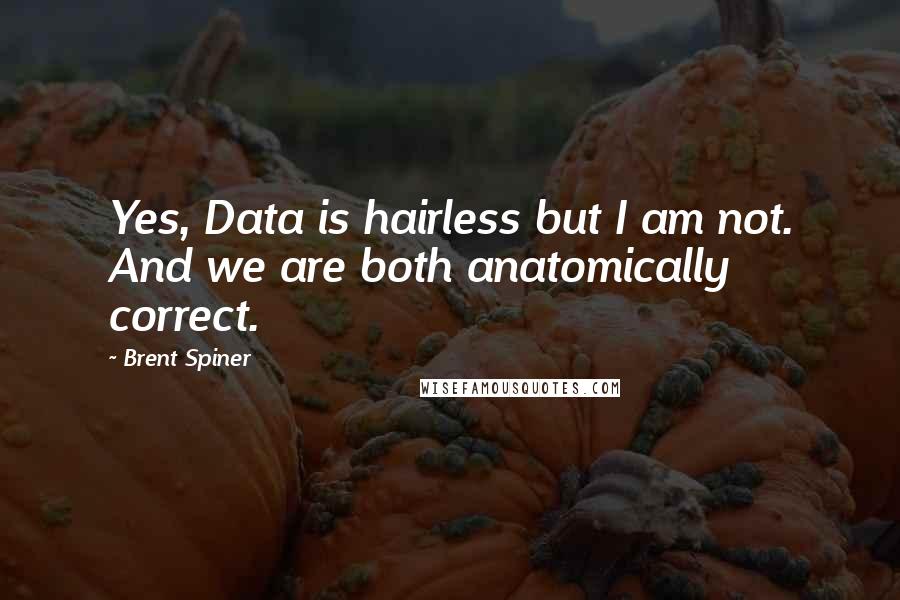 Brent Spiner Quotes: Yes, Data is hairless but I am not. And we are both anatomically correct.