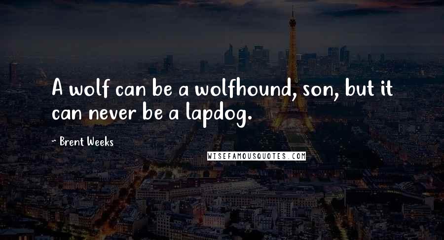 Brent Weeks Quotes: A wolf can be a wolfhound, son, but it can never be a lapdog.