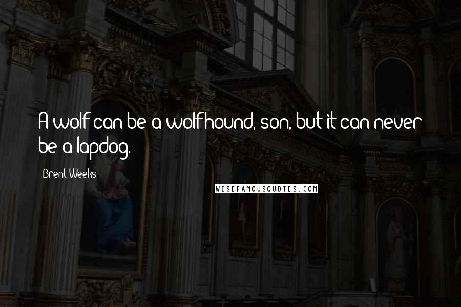 Brent Weeks Quotes: A wolf can be a wolfhound, son, but it can never be a lapdog.