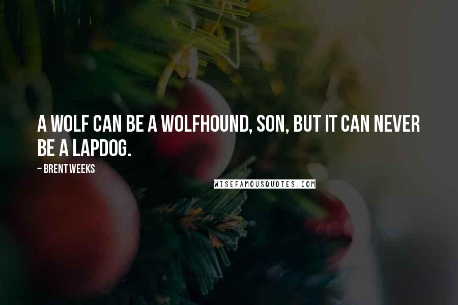 Brent Weeks Quotes: A wolf can be a wolfhound, son, but it can never be a lapdog.