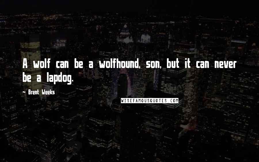 Brent Weeks Quotes: A wolf can be a wolfhound, son, but it can never be a lapdog.